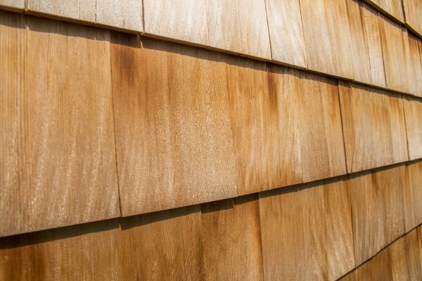 Cost of Cedar Siding Replacement in Trenton
