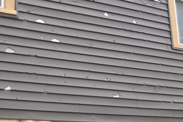 Cost of Damaged Siding Replacement in Trenton