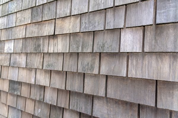Cost of Shake Siding Repair in Trenton
