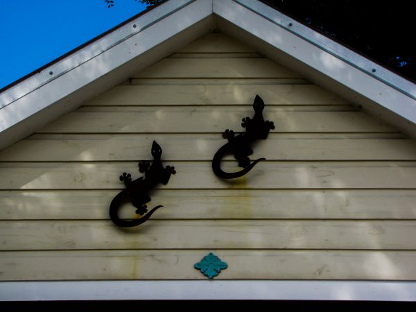 Cost of Shiplap Siding Installation in Trenton