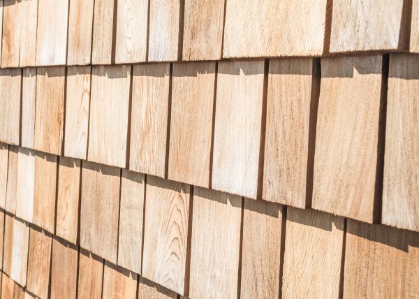 Cost of Cedar Shingle Siding Repair in Trenton