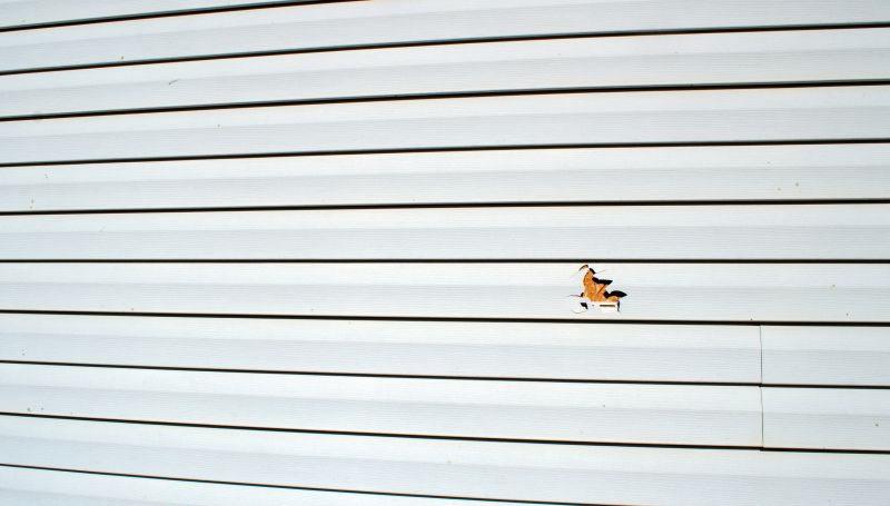 Common Pitfall to Avoid